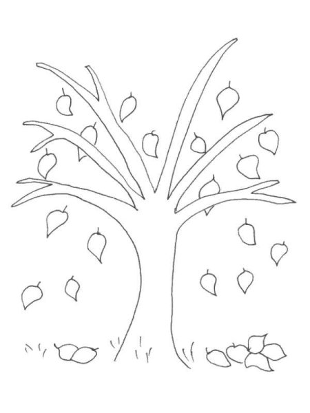 Ветка клена раскраска