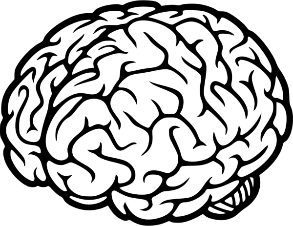 Векторный мозг