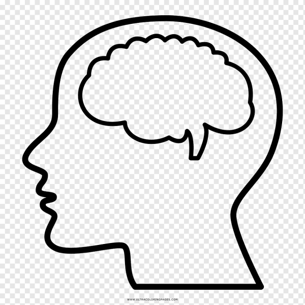 Мозг контур