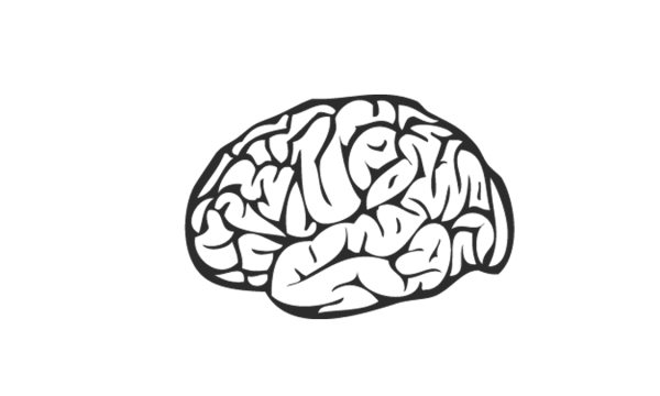 Мозг контур