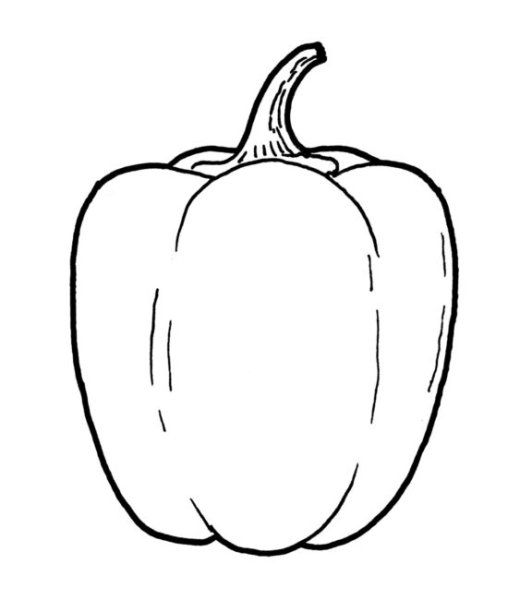 Перец раскраска для детей