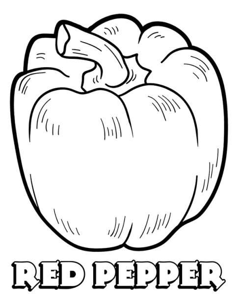 Контур овощей перец