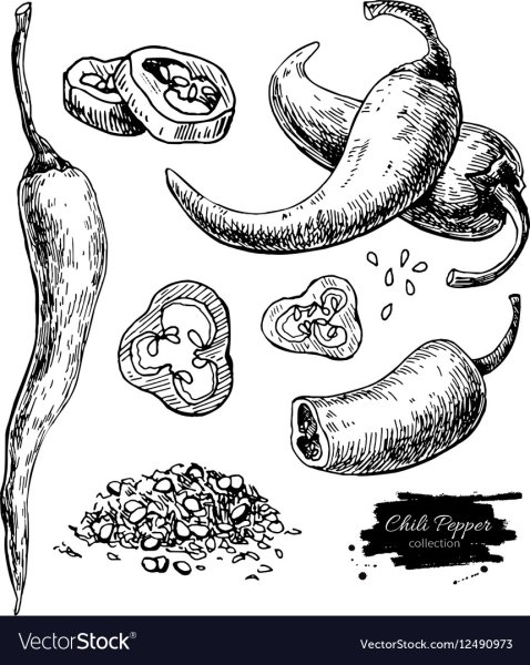 Перец раскраска