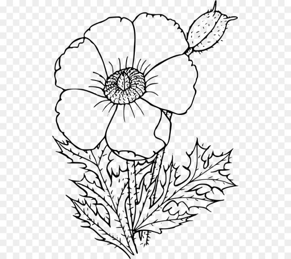 Мак раскраска