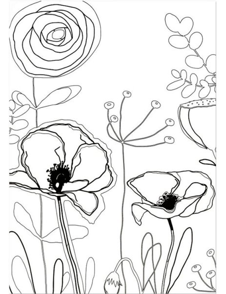 Мак раскраска