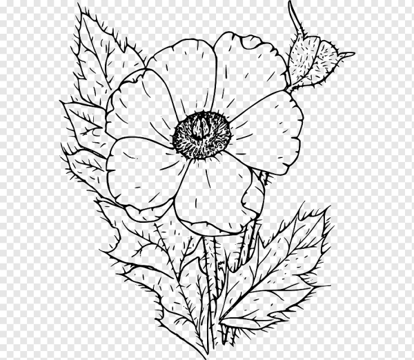 Мак раскраска для детей