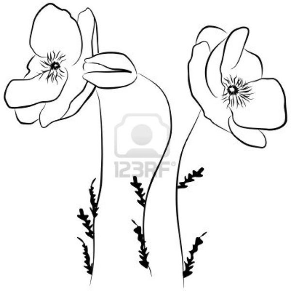 Карандашные Наброски цветов для раскрашивания