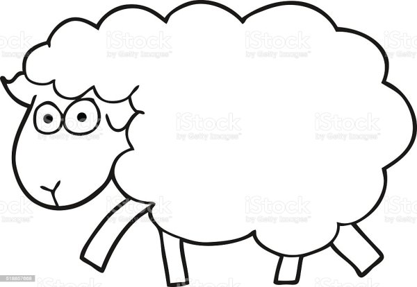 Овечка черно белая