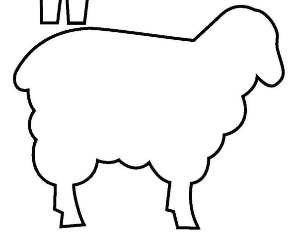 Барашек раскраска для малышей