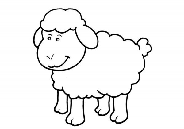 Овечка раскраска для детей