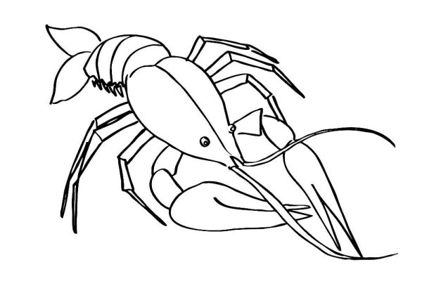 Зарисуйте раковые