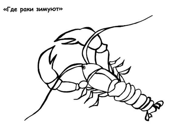 Краб раскраска для малышей