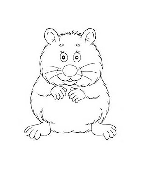 Хомяк раскраска для детей