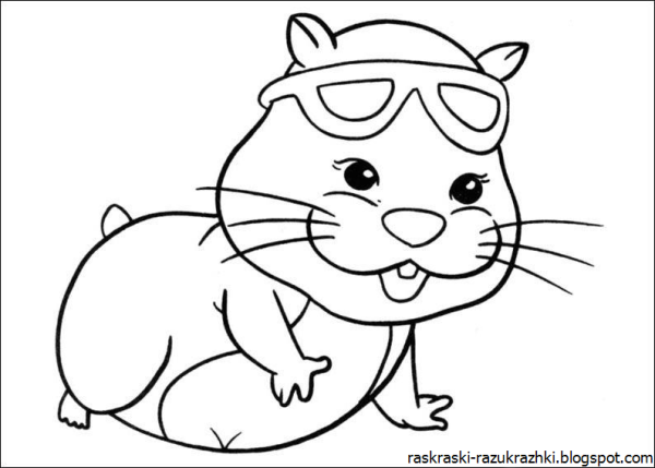 Раскраска хомяк