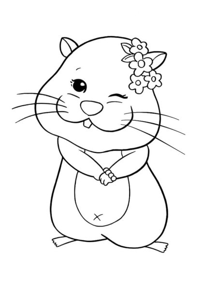 Хомяк раскраска для детей