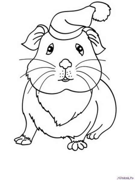 Джунгарский хомяк раскраска