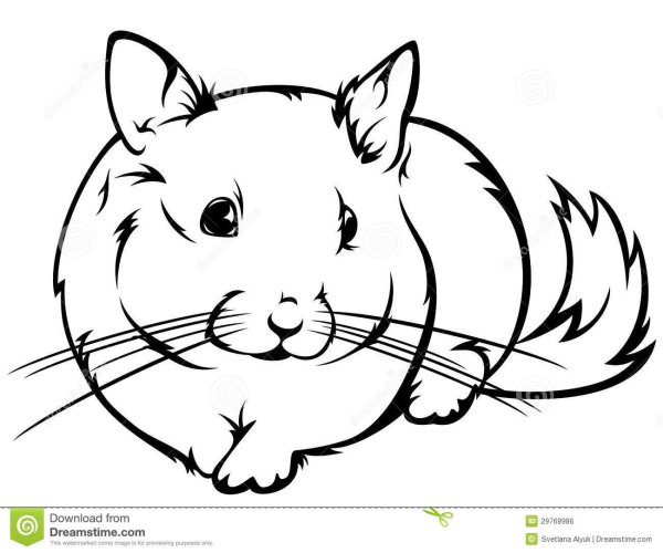 Хомяк для выжигания