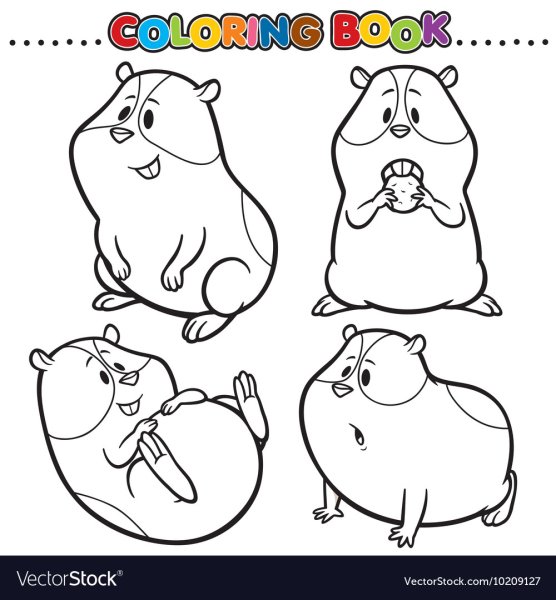 Раскраска хомяк в клетке