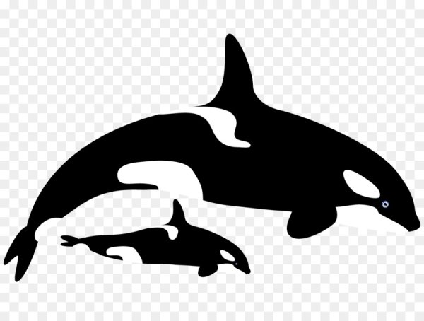 Касатка трафарет