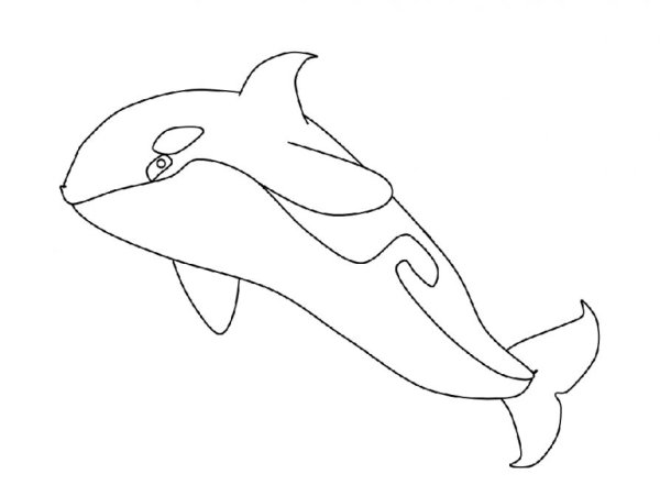 Касатка рисунок раскраска