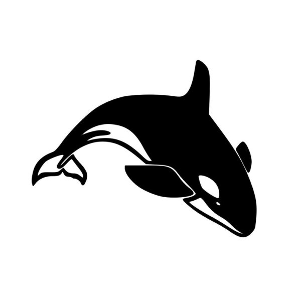 Grampus Касатка