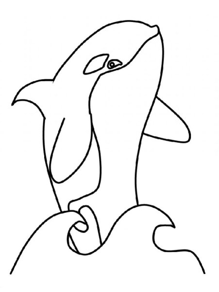 Косатка раскраска для детей