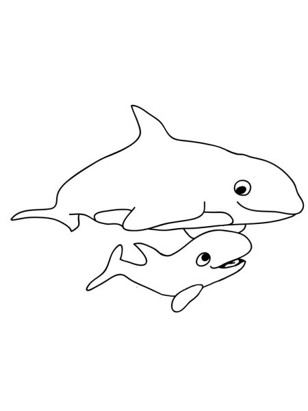 Касатка раскраска для детей