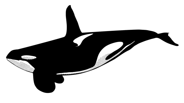 Касатка лого