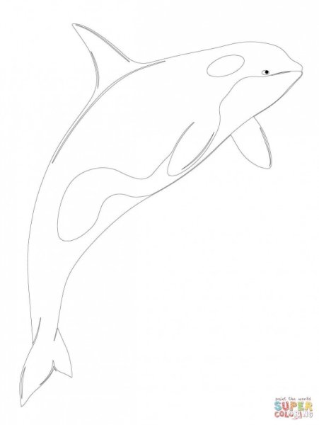 Кит мультяшный