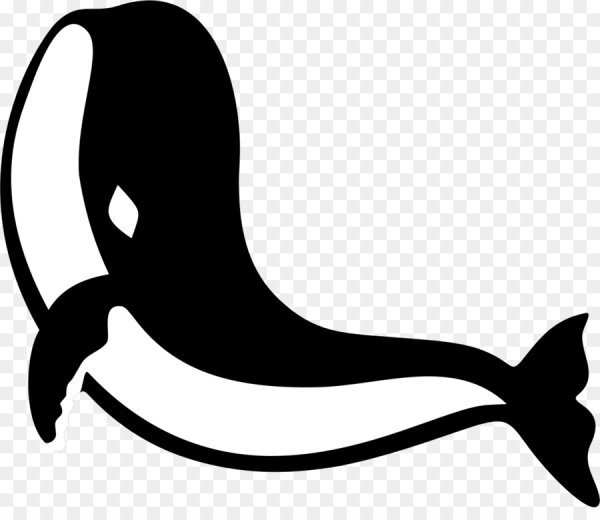 Касатка вектор силуэт