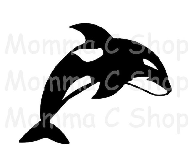 Кит Касатка раскраска