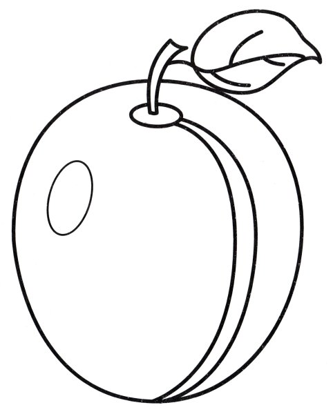 Слива раскраска