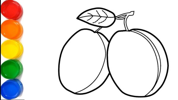 Слива раскраска для детей