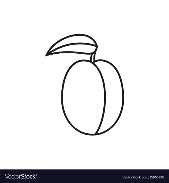 Слива раскраска для детей