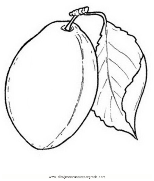 Слива эскиз