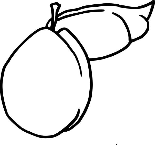 Слива раскраска для детей