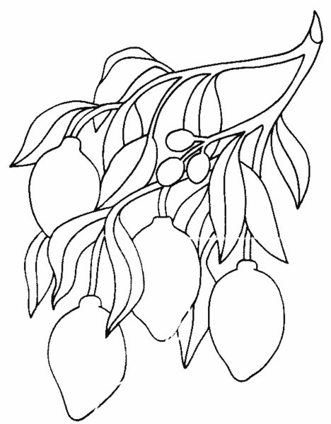 Трафарет слива для вырезания