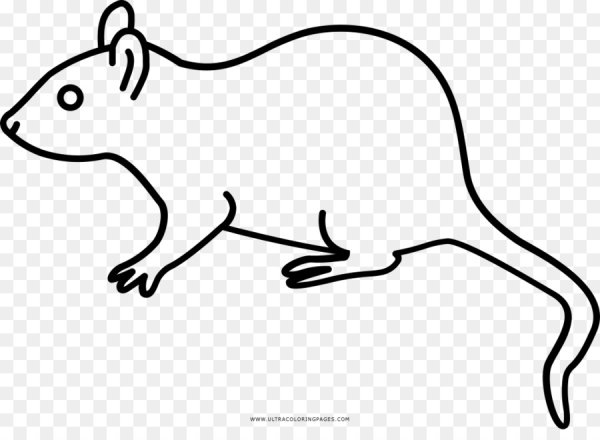Мышь раскраска для детей
