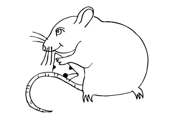Контур грызунов на белом фоне