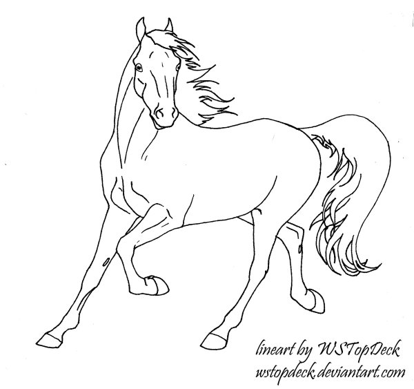 Лошадь контур