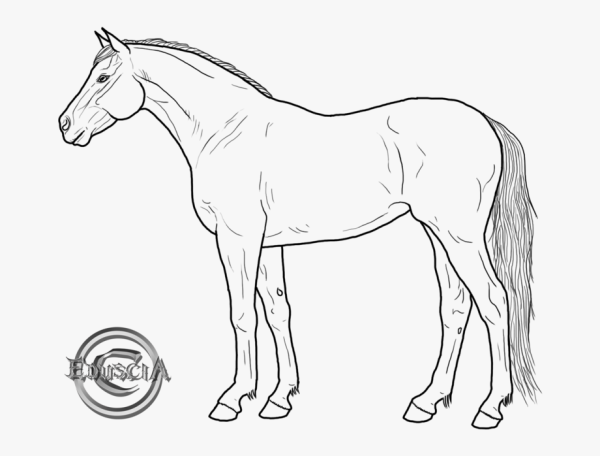 Трафарет лошади для детей