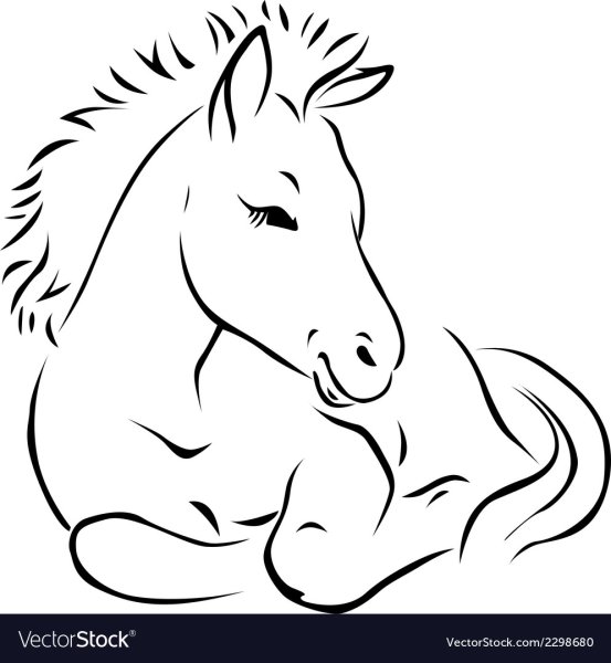 Конь на дыбах контур