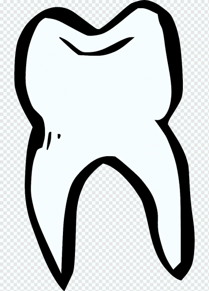 Зуб раскраска для детей