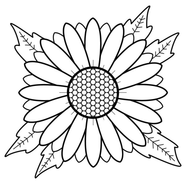 Трафарет цветка Астра