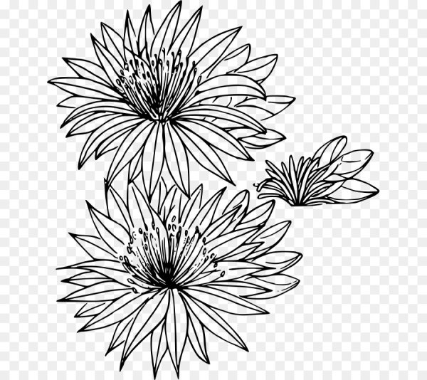 Контурная Графика цветы