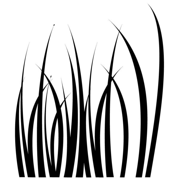 Камыши силуэт