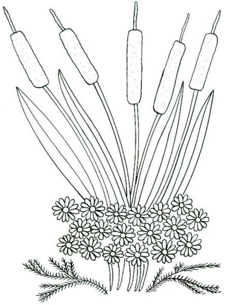 Камыши для раскрашивания