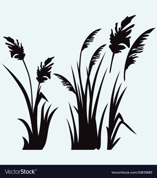 Силуэты камыша векторные