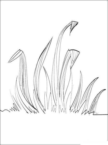 Травка раскраска для детей