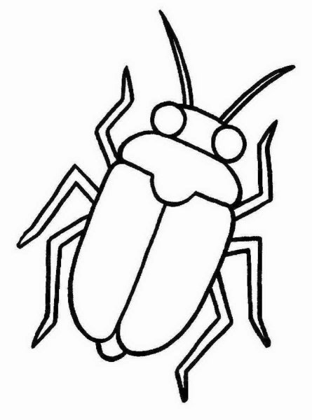 Насекомые. Раскраска